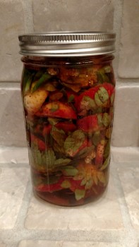 IMG_20160309_190028914