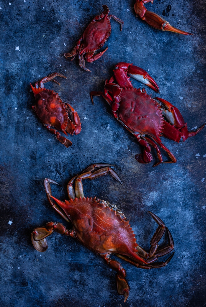crabs-1